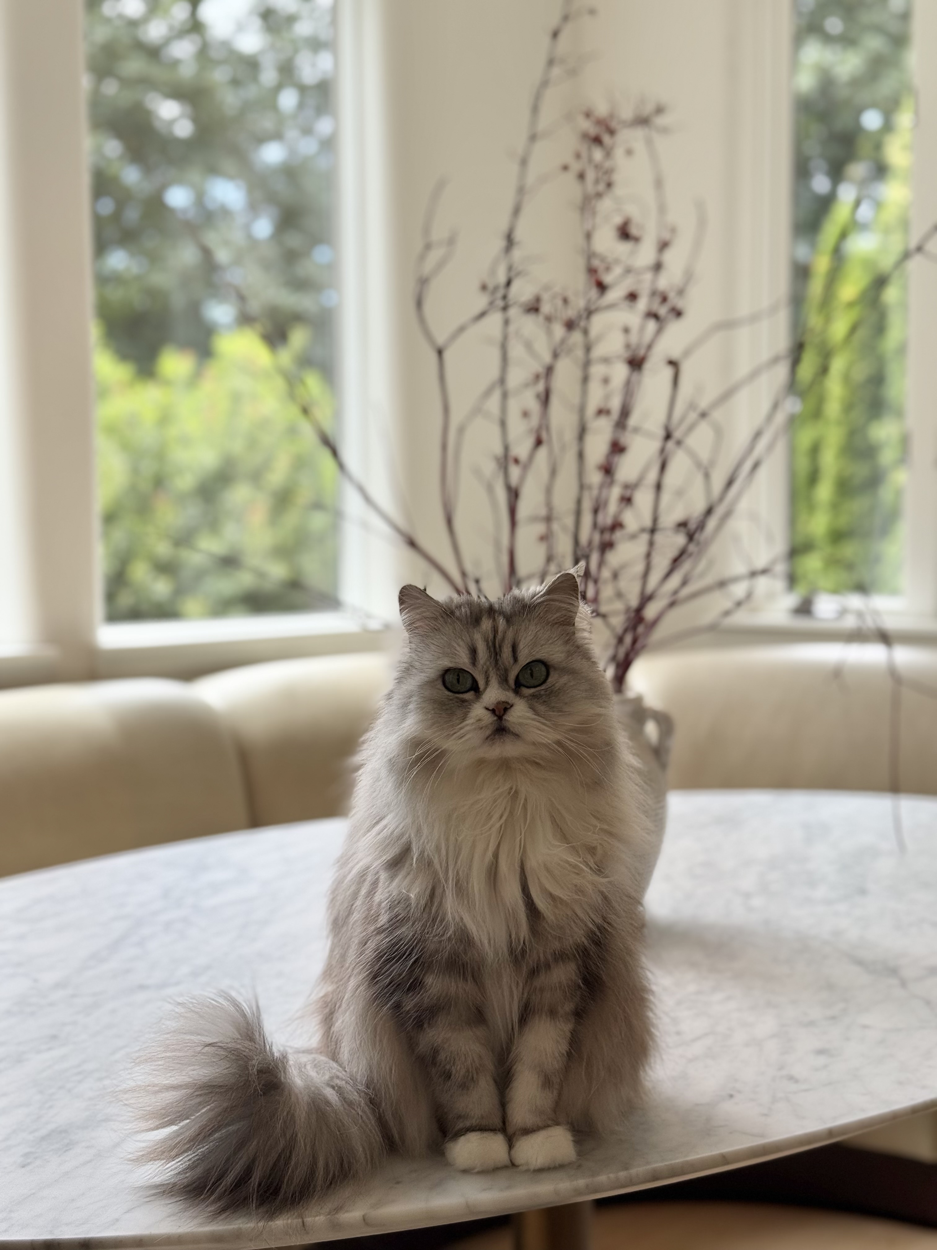 Simply Spaces gallery image 1