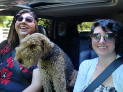 Simply Spaces gallery image 3